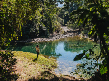 CÁMARA DE TURISMO FILIAL LA CEIBA