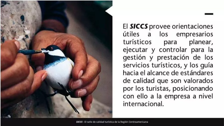 siccs11