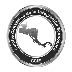 13. CCIE Logo Gris