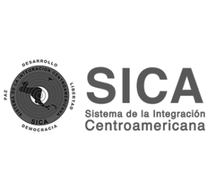 4. SITCA Logo Gris